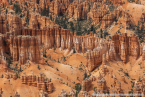 202405_usa_4sterne_193