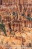 202405_usa_4sterne_195