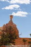 202405_usa_4sterne_228