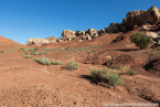 202405_usa_4sterne_236