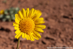 202405_usa_4sterne_239
