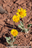 202405_usa_4sterne_243