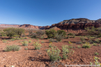 202405_usa_4sterne_244