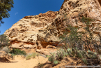 202405_usa_4sterne_250