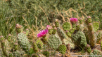 202405_usa_4sterne_252