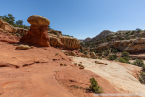 202405_usa_4sterne_257