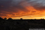 202405_usa_4sterne_345