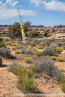 202405_usa_4sterne_352