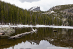 202405_usa_4sterne_494
