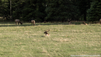 202405_usa_4sterne_495