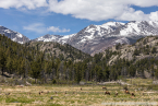 202405_usa_4sterne_515