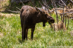 202405_usa_4sterne_516