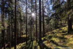 IMG_5277-HDR