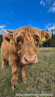 20240921_161829-Bearbeitet