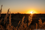 2025_4stars_namibia_006