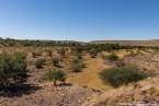 2025_4stars_namibia_011