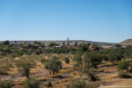 2025_4stars_namibia_012