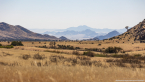 2025_4stars_namibia_018