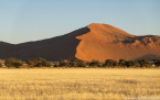 2025_4stars_namibia_041
