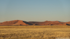 2025_4stars_namibia_042