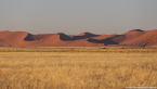 2025_4stars_namibia_043