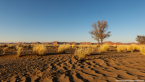 2025_4stars_namibia_044