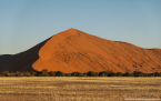 2025_4stars_namibia_045