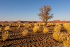 2025_4stars_namibia_046
