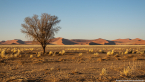 2025_4stars_namibia_047