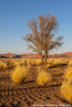 2025_4stars_namibia_048
