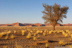 2025_4stars_namibia_049