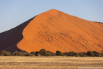 2025_4stars_namibia_050