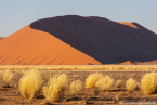 2025_4stars_namibia_051