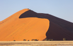 2025_4stars_namibia_053