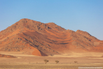 2025_4stars_namibia_055