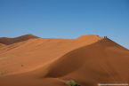 2025_4stars_namibia_065