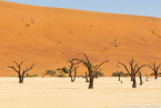 2025_4stars_namibia_079