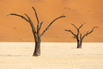 2025_4stars_namibia_081