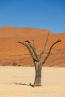 2025_4stars_namibia_085