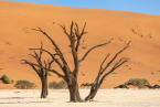 2025_4stars_namibia_090