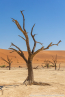 2025_4stars_namibia_092