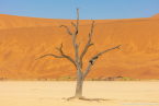 2025_4stars_namibia_095