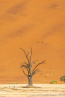 2025_4stars_namibia_096