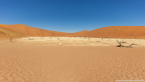 2025_4stars_namibia_097
