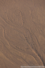 2025_4stars_namibia_153