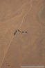 2025_4stars_namibia_155