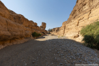 2025_4stars_namibia_174