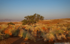 2025_4stars_namibia_187