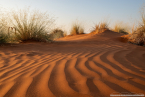 2025_4stars_namibia_189