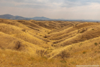 2025_4stars_namibia_211